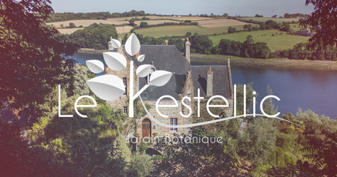 Kestellic-Spotliner-site-internet